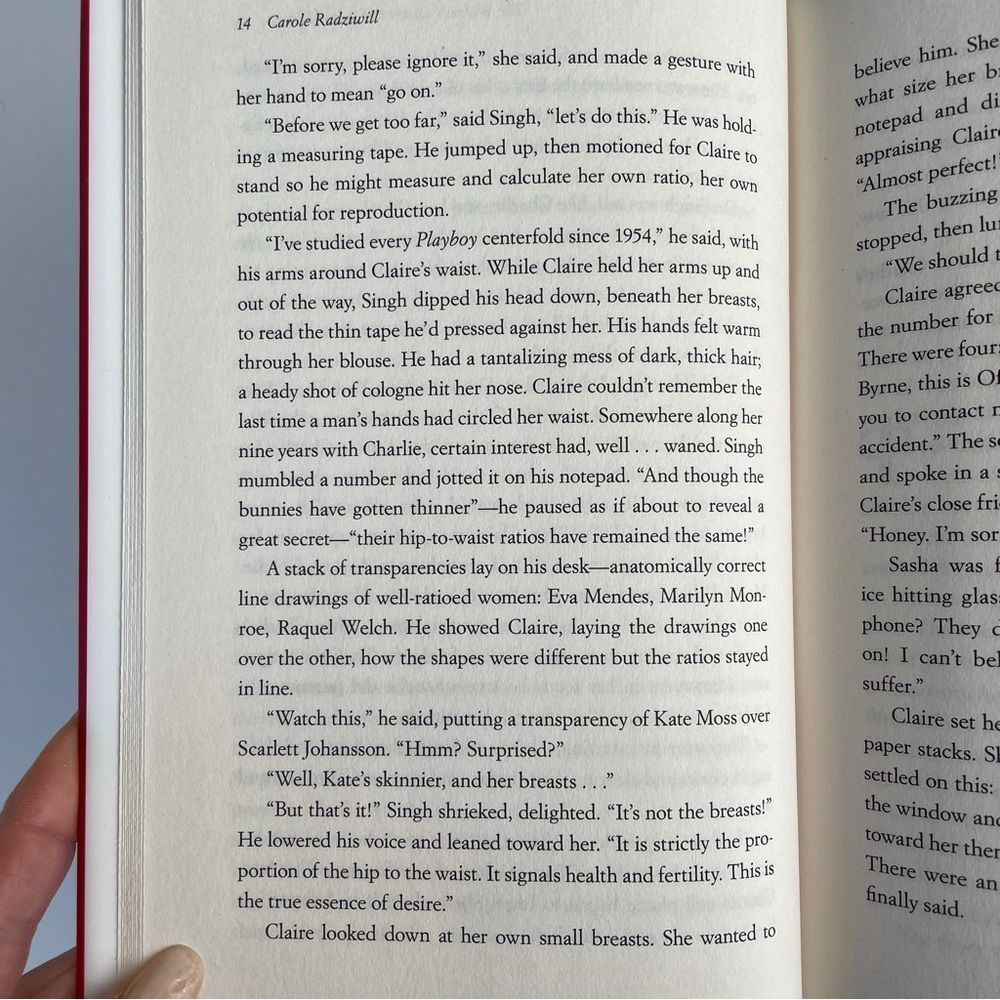 BOOK, The Widow’s Guide to Sex & Dating, a novel, 302 pages, Fiction, NOS - Picture 13 of 16